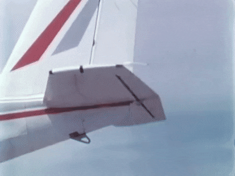 Fig. 1 - Flutter